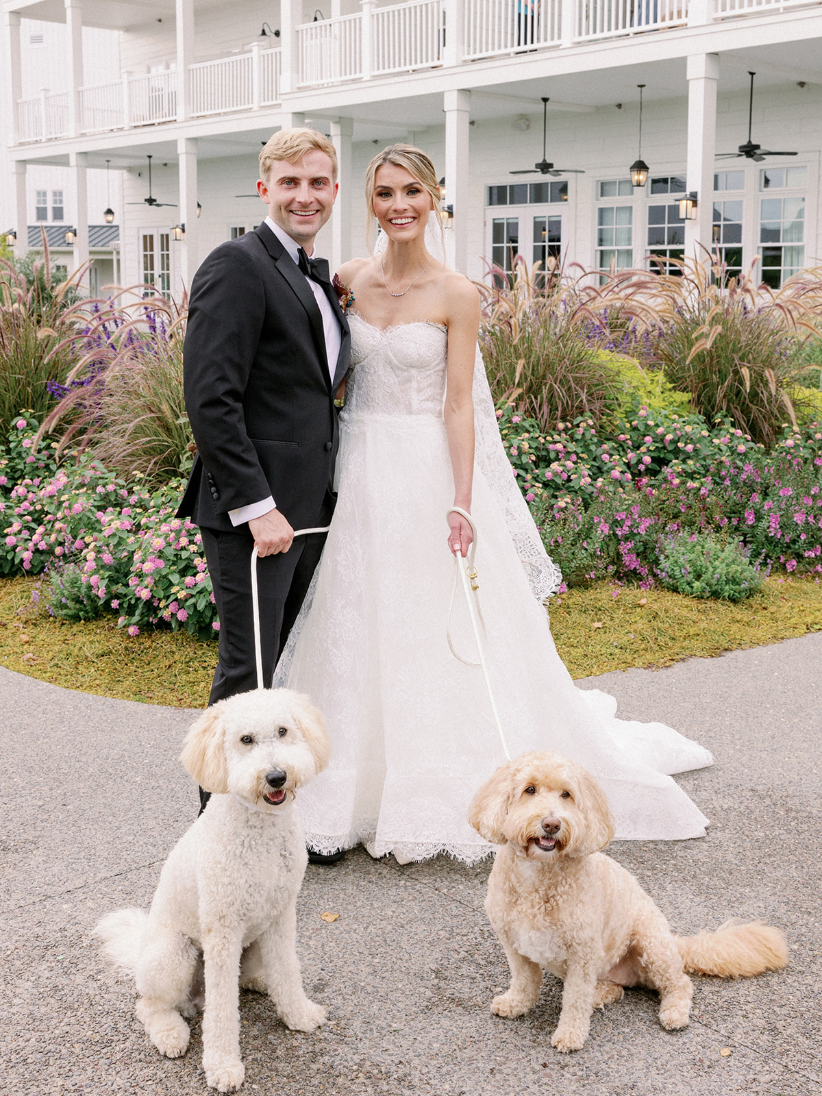 bride and groom with their dogs