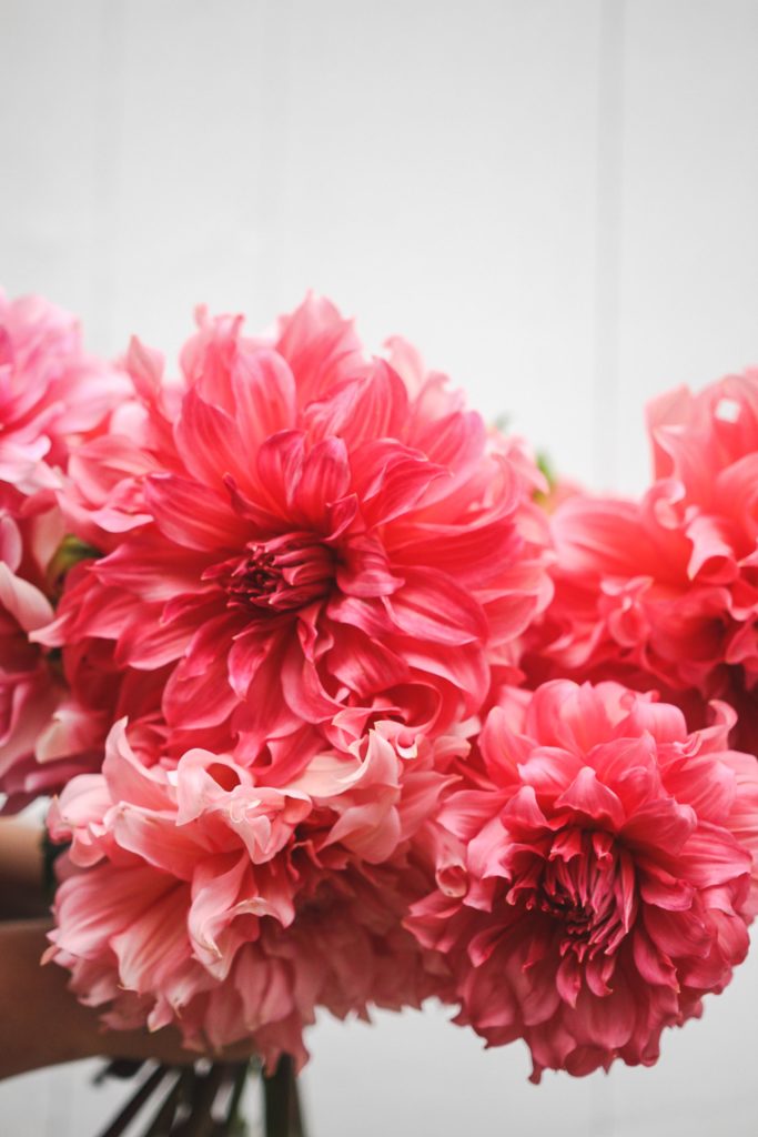 Coral Dahlia Wedding Inspiration| Flowerwell Rochester Florist | Verve Event Co. #livingcoral #livingcoralweddinginspiration #upstatenywedding